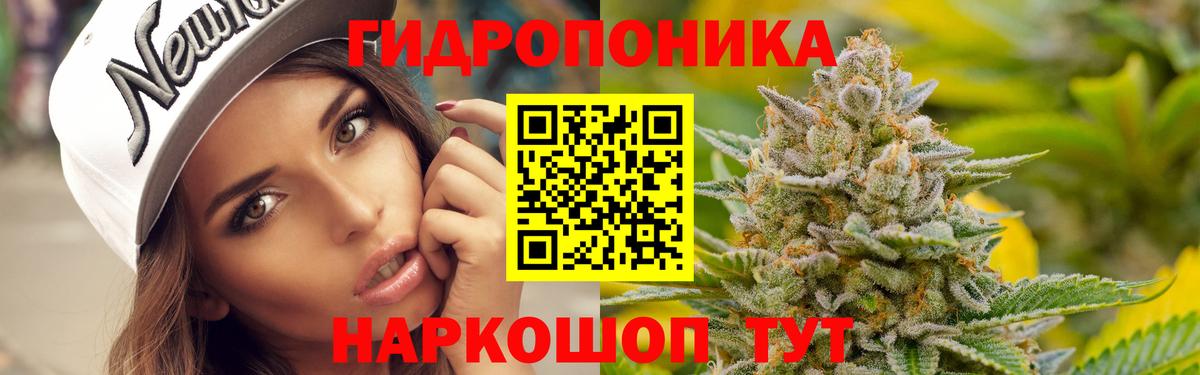 Анжеро-Судженск  Каннабис OG Kush  Бошки Шишки план  Бошки марихуана тримм  Вход с VPN 
